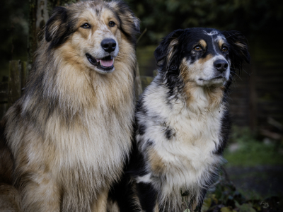 20241220-20241220-DSC02382