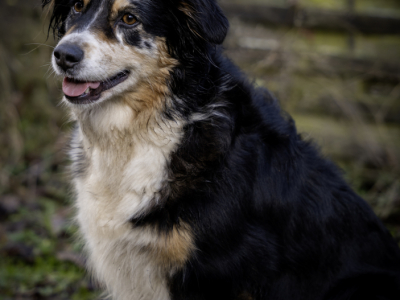 20241220-20241220-DSC02473