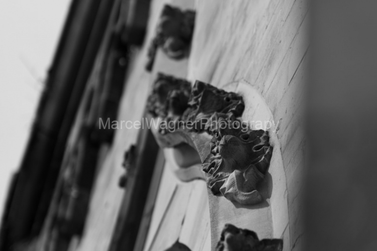 Hochzeit-Jenni-und-Kevin-250806-1166