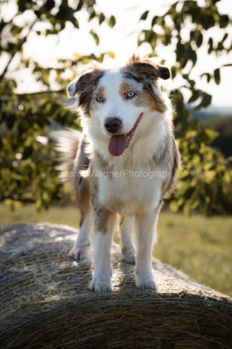 Shooting_Madel_Ivy-250819-5122