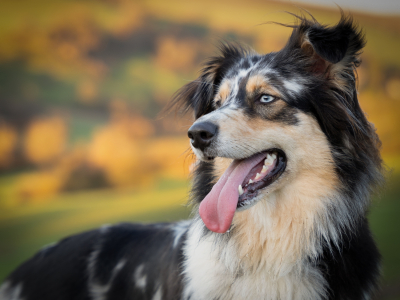 20241129-20241129-DSC00961