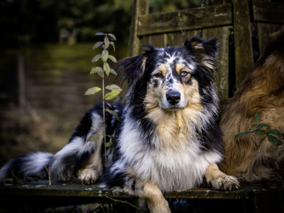 20241220-20241220-DSC02373